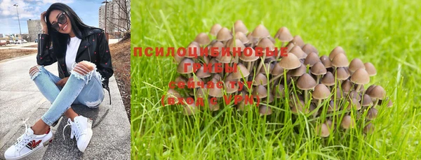 а пвп мука Кукмор