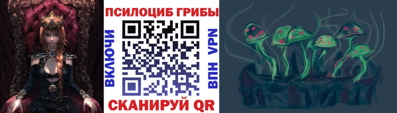 Купить закладки Ленинск-Кузнецкий Псилоцибиновые грибы Cubensis